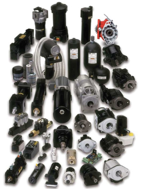 Section Image
